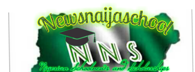 Official Newsnaijaschool logo